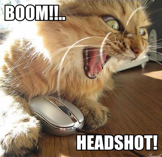 boom-headshot1.jpg